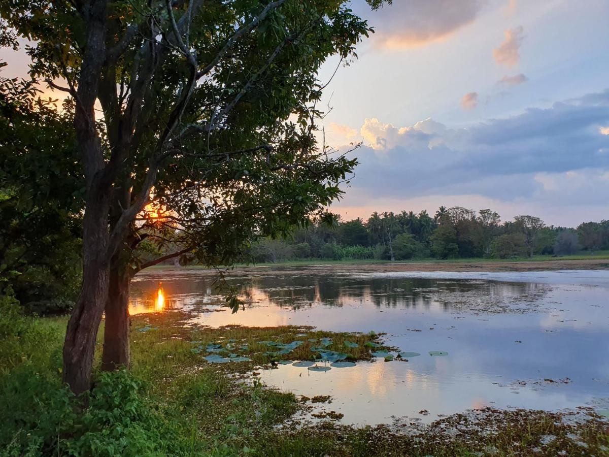 Ama Eco Lodge Sigiriya Dış mekan fotoğraf