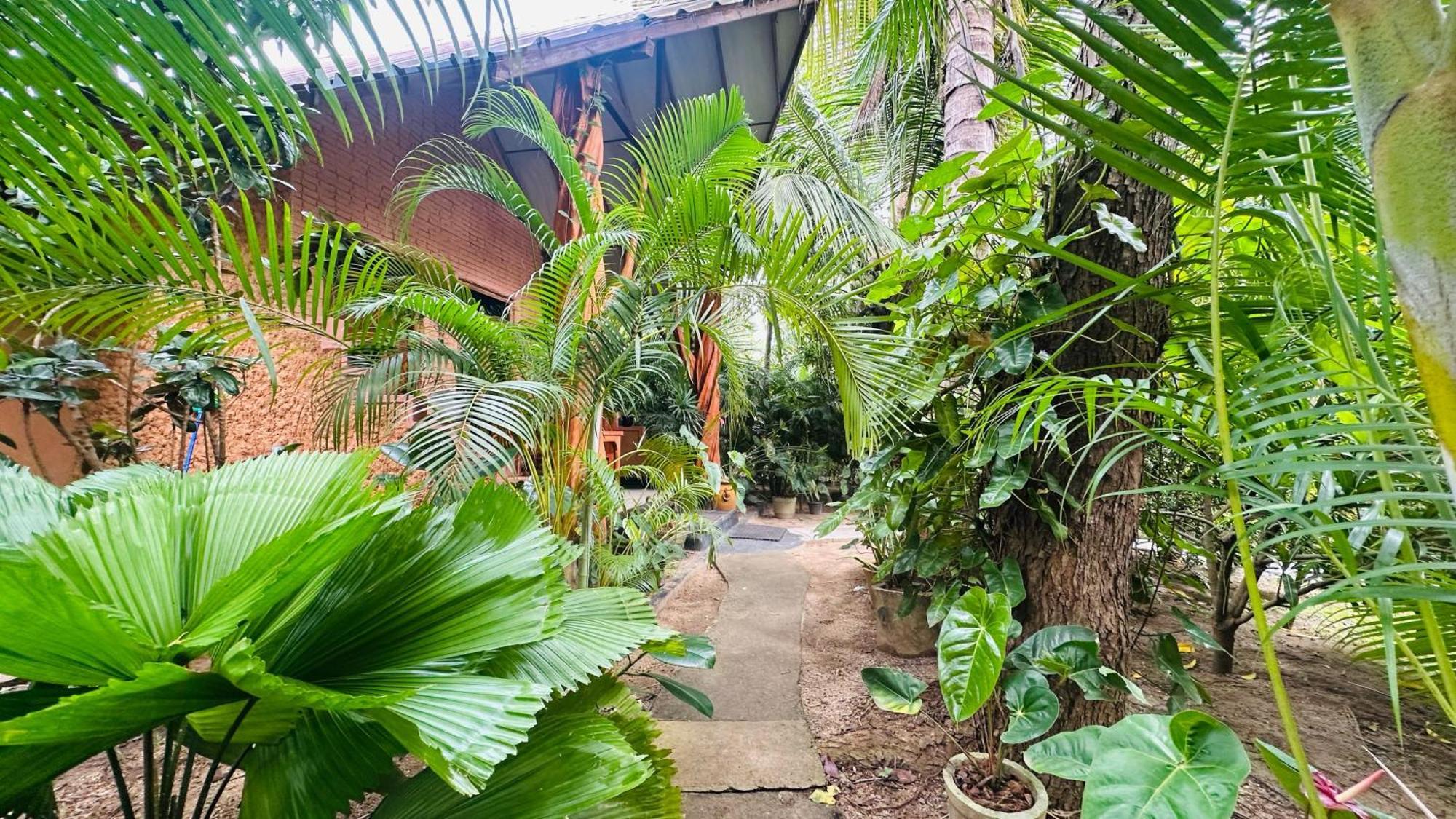 Ama Eco Lodge Sigiriya Dış mekan fotoğraf