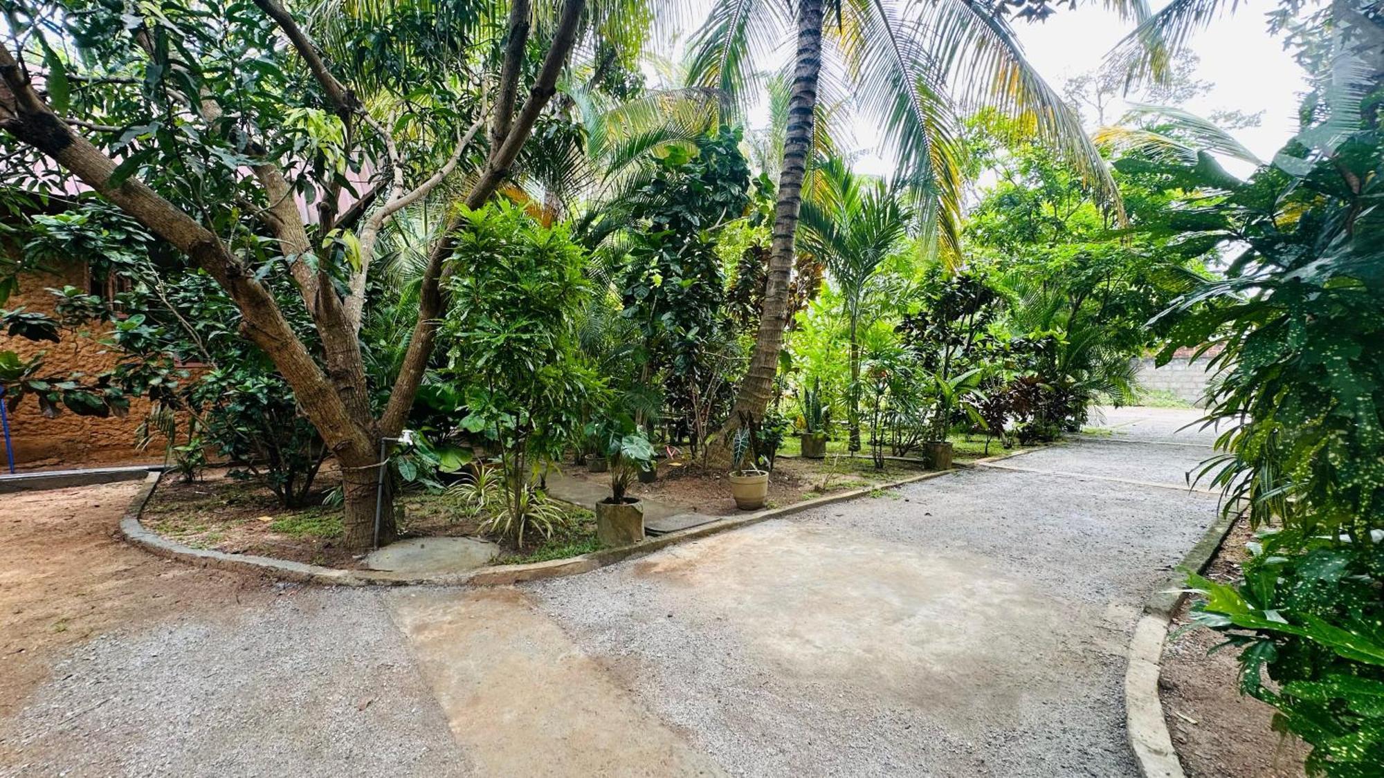 Ama Eco Lodge Sigiriya Dış mekan fotoğraf